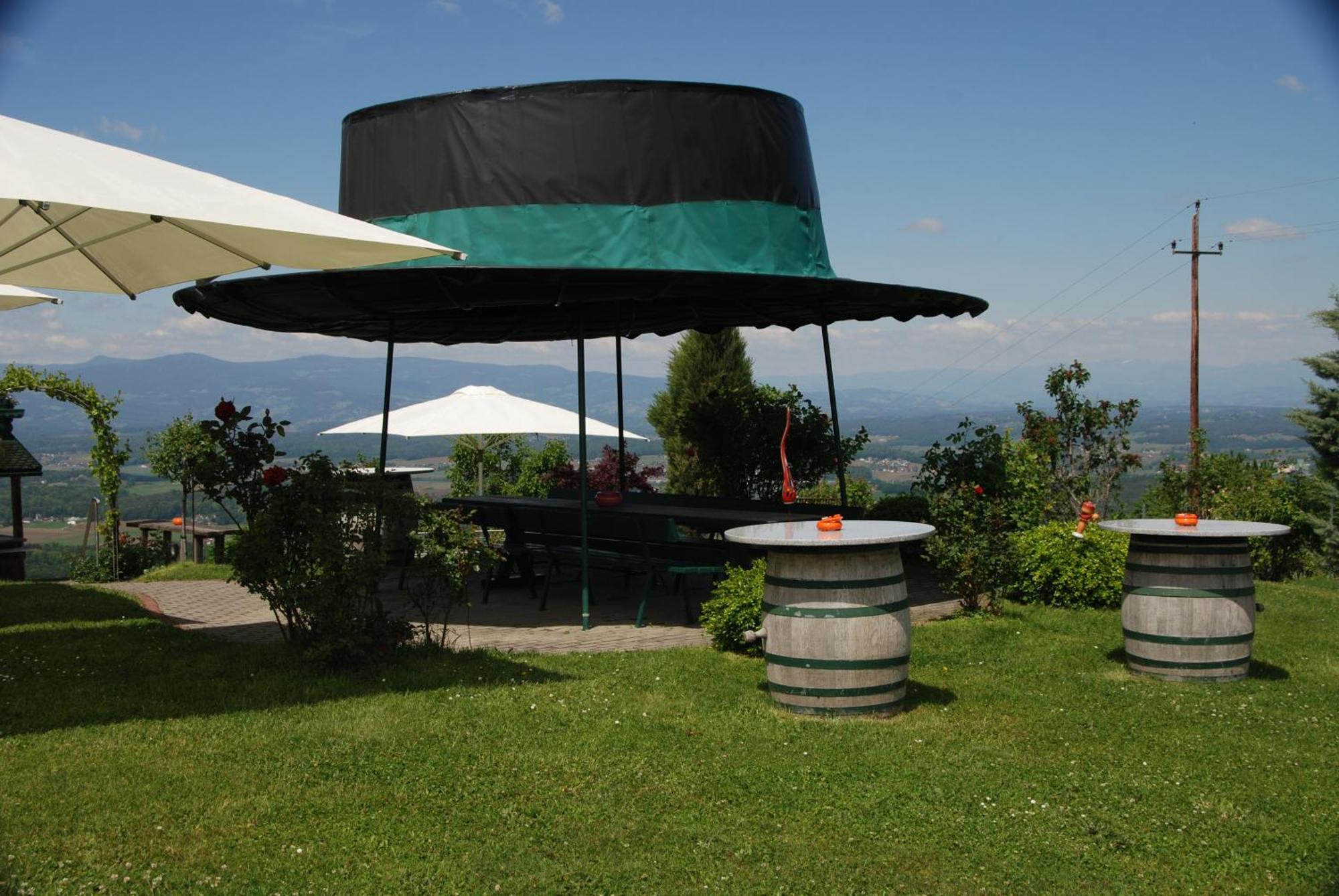 Naturpark-.Weinbergferienhaus Kitzeck im Sausal Zewnętrze zdjęcie